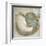 Coastal Gems IV-John Seba-Framed Art Print