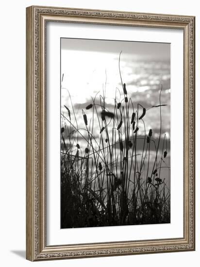 Coastal Grass I-Erin Berzel-Framed Photographic Print