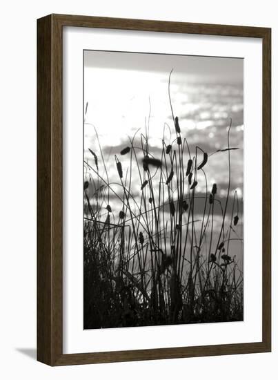 Coastal Grass I-Erin Berzel-Framed Photographic Print