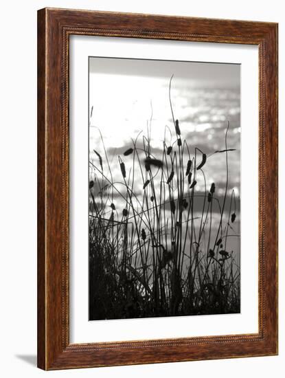 Coastal Grass I-Erin Berzel-Framed Photographic Print