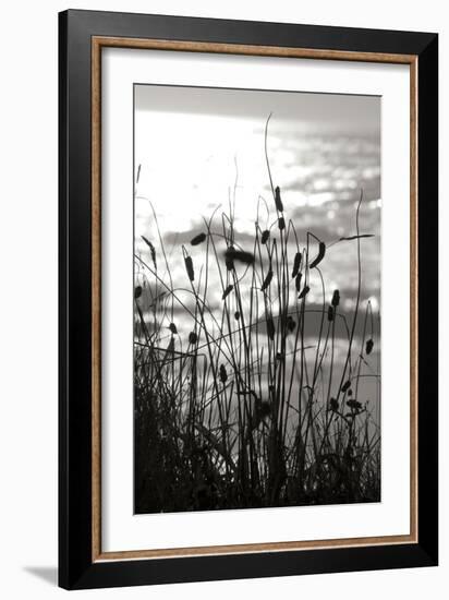 Coastal Grass I-Erin Berzel-Framed Photographic Print