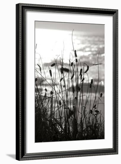 Coastal Grass I-Erin Berzel-Framed Photographic Print