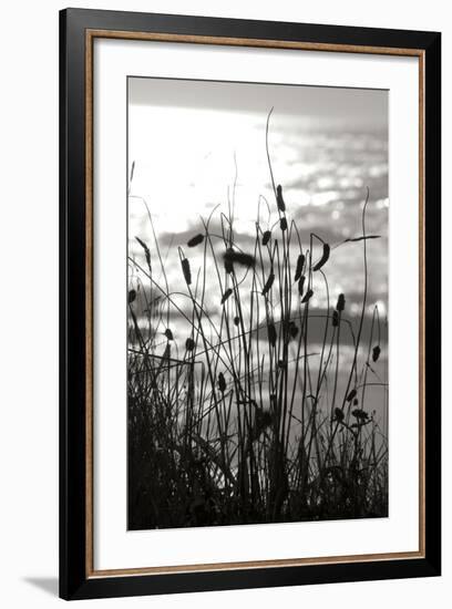 Coastal Grass I-Erin Berzel-Framed Photographic Print