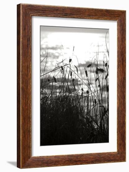 Coastal Grass II-Erin Berzel-Framed Photographic Print