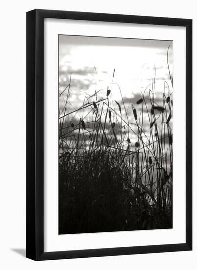 Coastal Grass II-Erin Berzel-Framed Photographic Print