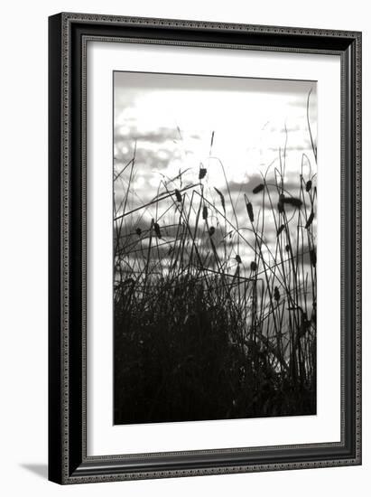 Coastal Grass II-Erin Berzel-Framed Photographic Print