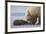 Coastal Grizzly bear cub begs for a clam. Lake Clark National Park, Alaska.-Brenda Tharp-Framed Premium Photographic Print