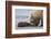 Coastal Grizzly bear cub begs for a clam. Lake Clark National Park, Alaska.-Brenda Tharp-Framed Photographic Print