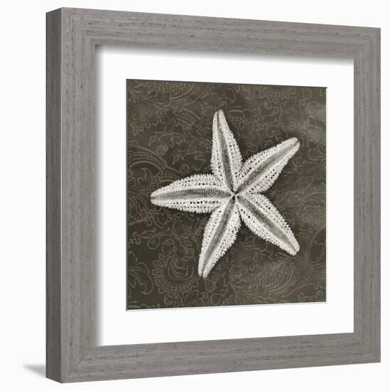 Coastal Heirloom-Erin Clark-Framed Art Print