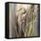 Coastal Heron-Brent Heighton-Framed Stretched Canvas