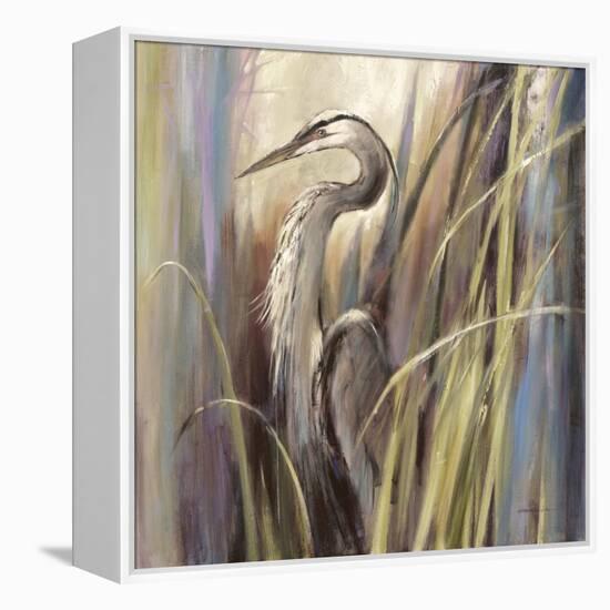 Coastal Heron-Brent Heighton-Framed Stretched Canvas