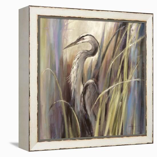 Coastal Heron-Brent Heighton-Framed Stretched Canvas