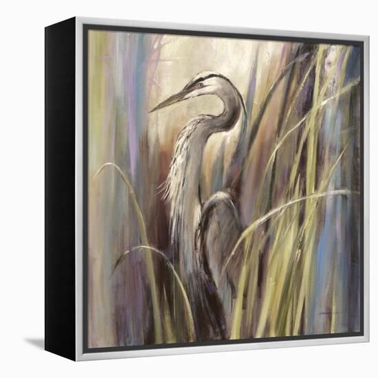 Coastal Heron-Brent Heighton-Framed Stretched Canvas