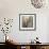 Coastal Heron-Brent Heighton-Framed Art Print displayed on a wall