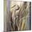 Coastal Heron-Brent Heighton-Mounted Art Print