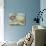 Coastal Hydrangea-Danhui Nai-Premium Giclee Print displayed on a wall