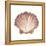 Coastal Icon Coral VI-Elizabeth Medley-Framed Stretched Canvas
