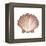 Coastal Icon Coral VI-Elizabeth Medley-Framed Stretched Canvas