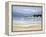 Coastal Inlet II-Frédéric Flanet-Framed Premier Image Canvas