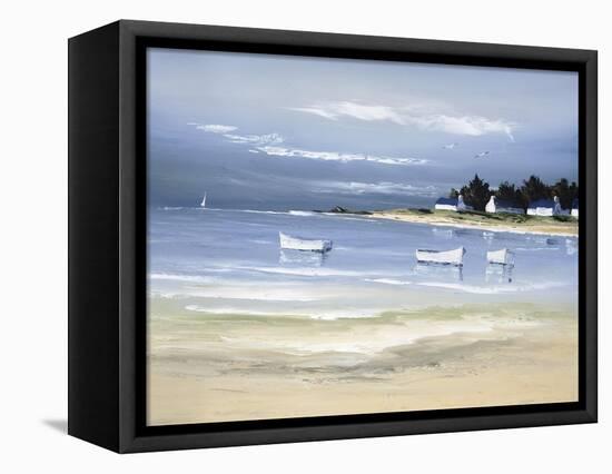 Coastal Inlet II-Frédéric Flanet-Framed Premier Image Canvas