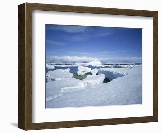 Coastal Landscape, Antarctic Peninsula, Antarctica, Polar Regions-Geoff Renner-Framed Photographic Print