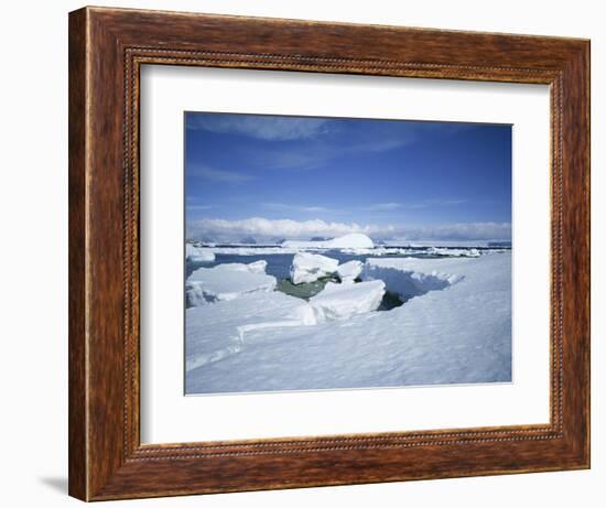 Coastal Landscape, Antarctic Peninsula, Antarctica, Polar Regions-Geoff Renner-Framed Photographic Print