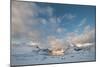 Coastal Landscape on Flakstadoya, Loftofen, Norway-moodboard-Mounted Photographic Print