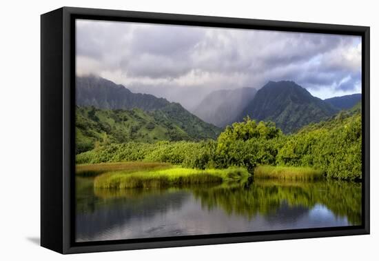 Coastal Marsh IV-Danny Head-Framed Premier Image Canvas