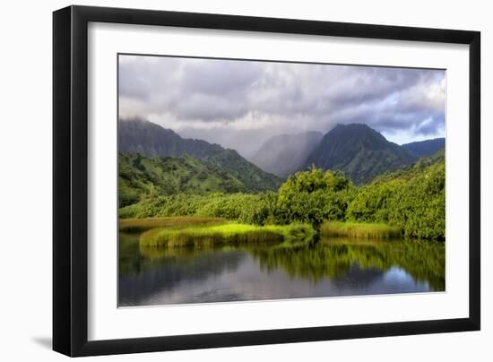 Coastal Marsh IV-Danny Head-Framed Photographic Print