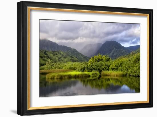 Coastal Marsh IV-Danny Head-Framed Photographic Print