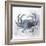 Coastal Mist Crab-Ken Roko-Framed Art Print