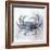 Coastal Mist Crab-Ken Roko-Framed Art Print