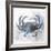 Coastal Mist Crab-Ken Roko-Framed Art Print