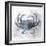 Coastal Mist Crab-Ken Roko-Framed Art Print