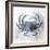 Coastal Mist Crab-Ken Roko-Framed Art Print