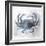 Coastal Mist Crab-Ken Roko-Framed Premium Giclee Print