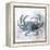 Coastal Mist Crab-Ken Roko-Framed Stretched Canvas