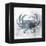 Coastal Mist Crab-Ken Roko-Framed Stretched Canvas