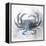 Coastal Mist Crab-Ken Roko-Framed Stretched Canvas