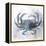 Coastal Mist Crab-Ken Roko-Framed Stretched Canvas