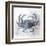 Coastal Mist Crab-Ken Roko-Framed Art Print