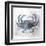 Coastal Mist Crab-Ken Roko-Framed Art Print