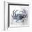 Coastal Mist Crab-Ken Roko-Framed Art Print