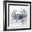 Coastal Mist Crab-Ken Roko-Framed Art Print