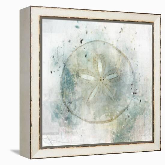 Coastal Mist Sand Dollar-Ken Roko-Framed Stretched Canvas