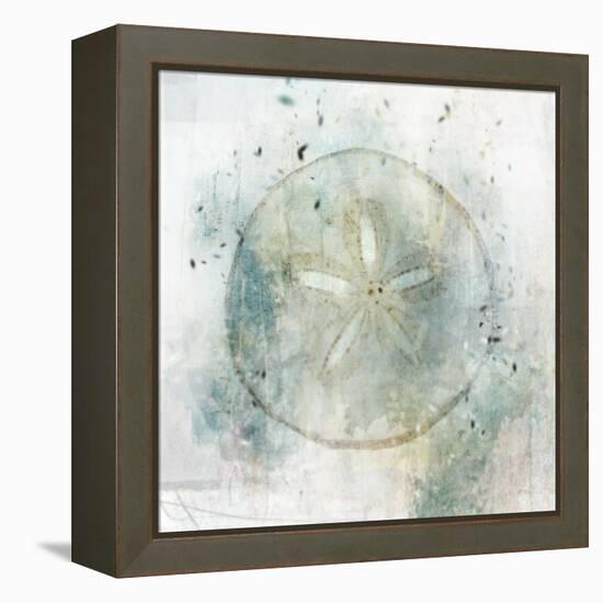 Coastal Mist Sand Dollar-Ken Roko-Framed Stretched Canvas