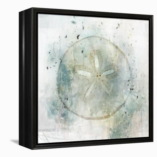 Coastal Mist Sand Dollar-Ken Roko-Framed Stretched Canvas