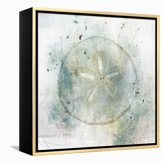Coastal Mist Sand Dollar-Ken Roko-Framed Stretched Canvas