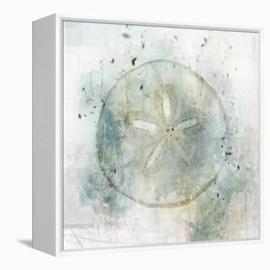 Coastal Mist Sand Dollar-Ken Roko-Framed Stretched Canvas