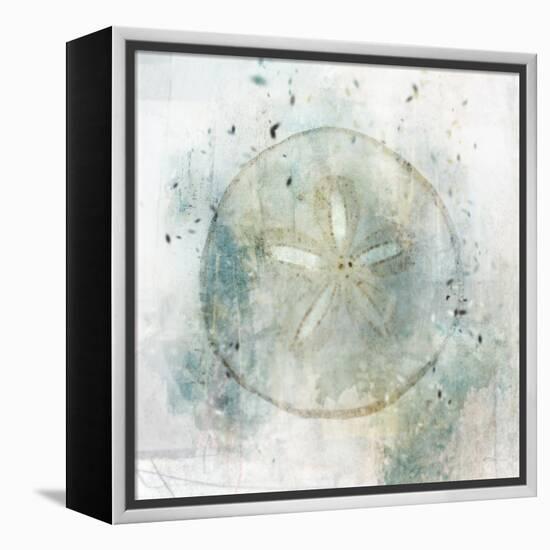 Coastal Mist Sand Dollar-Ken Roko-Framed Stretched Canvas